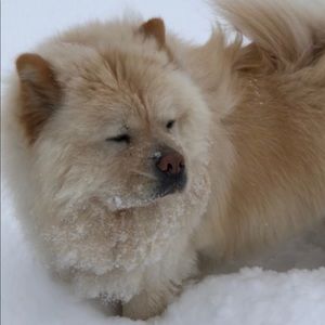 Meet your Posher, Liza